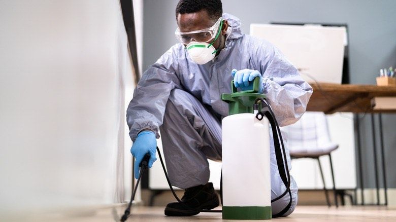 A man is spraying a bottle of chemicals on a counter.