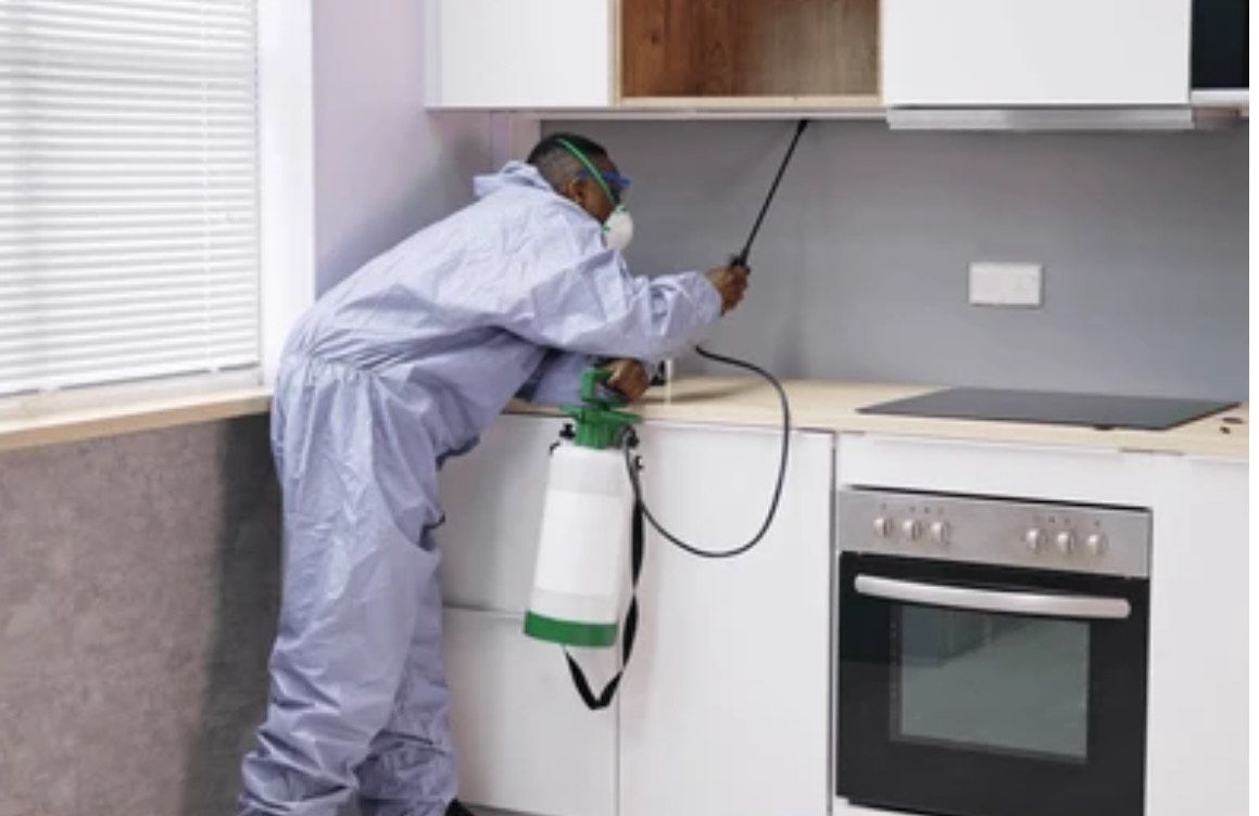 A man is spraying insecticide on the floor of a living room.