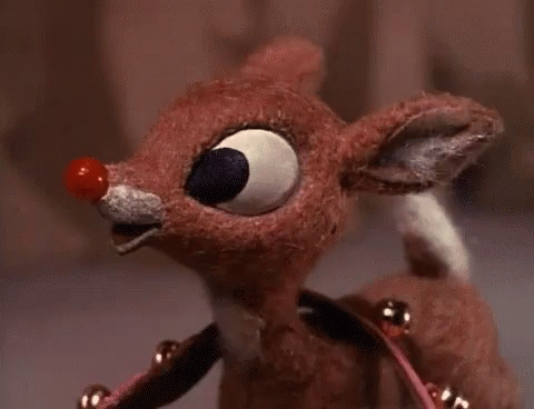 Rudolph the Red-Nosed Reindeer, close-up, gazing sideways with his bright red nose and one eye wide, wearing bells.