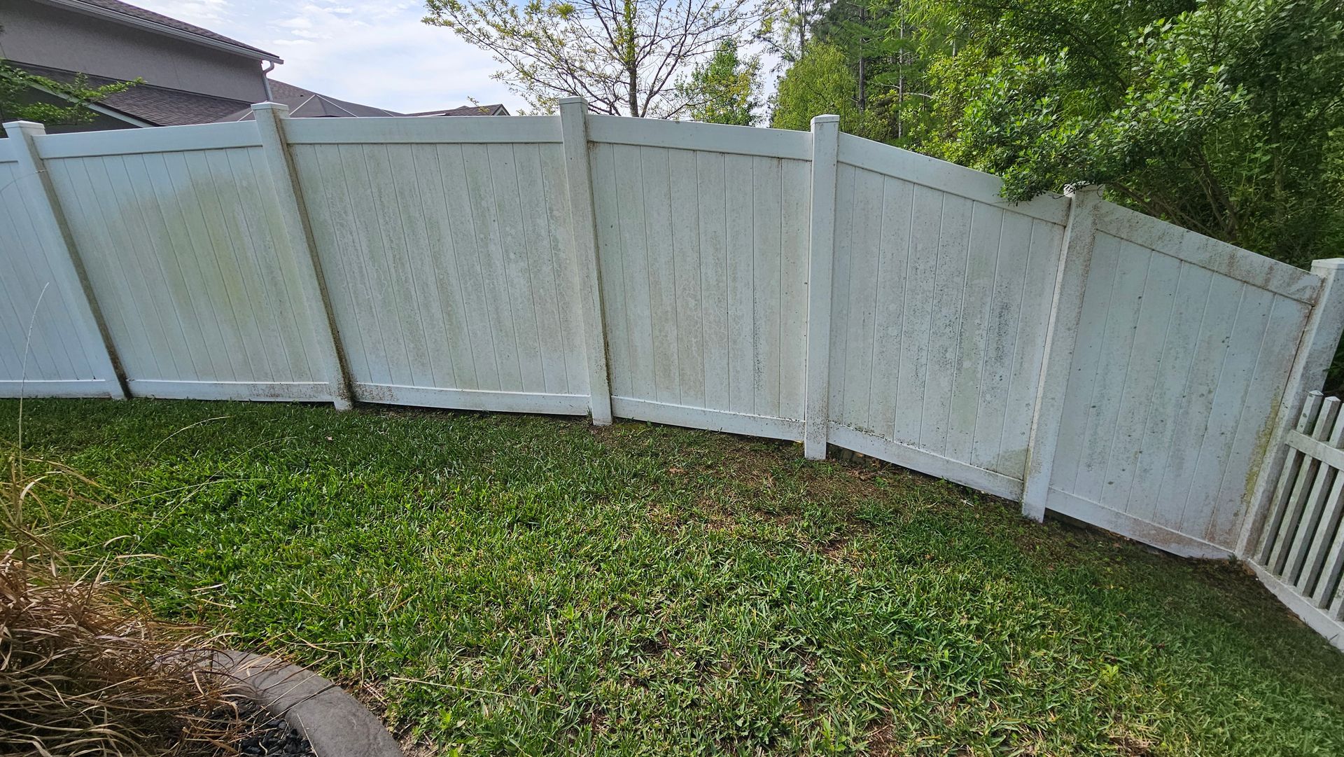 White vinyl fence with green moss and grass, in front of trees.