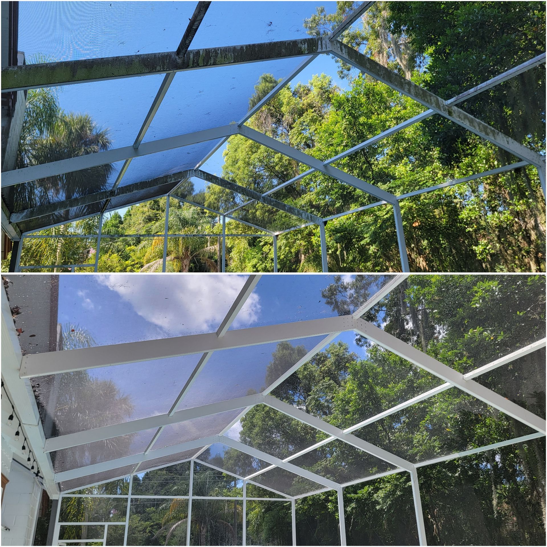 Before and after of a screen enclosure roof cleaning. Upper portion is dirty; lower portion is clean, showing blue sky.