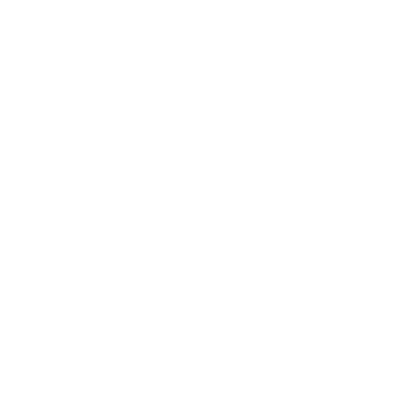 A small, brown, long-haired dog sits on a light-colored wooden floor looking toward the camera.