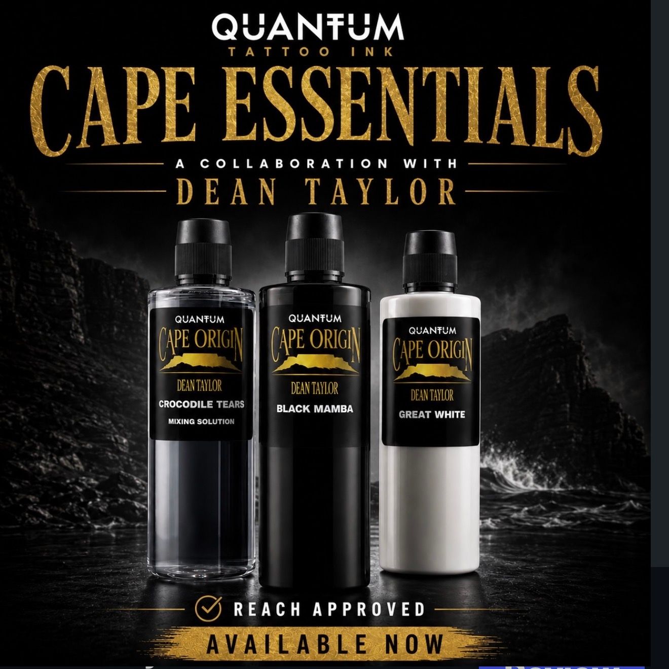Dean Taylor’s Cape Essentials