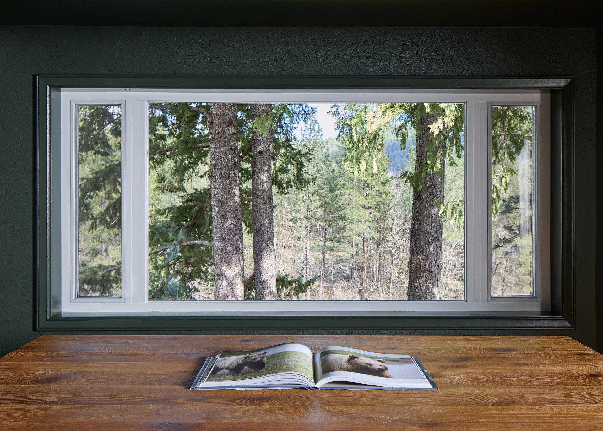 Open window above a wooden desk with an open book, overlooking trees and forest.