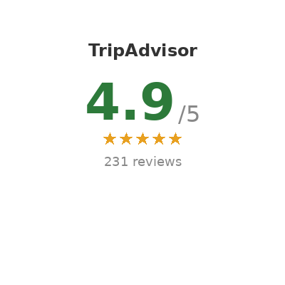 TripAdvisor rating: 4.9/5 with five gold stars and 231 reviews
