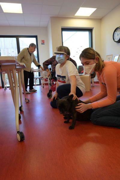 Un groupe de personnes portant des masques caresse un chien sur le sol.