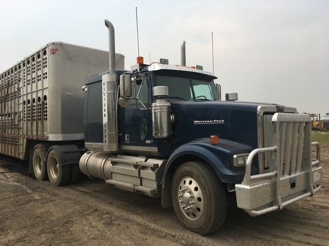 Blue semi-truck with cattle trailer parked on dirt road at Coro View Farms Ltd.