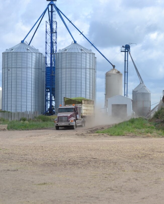 Truck unloading grain at farm silos; dusty dirt road, cloudy sk at Coro View Farms Ltd.