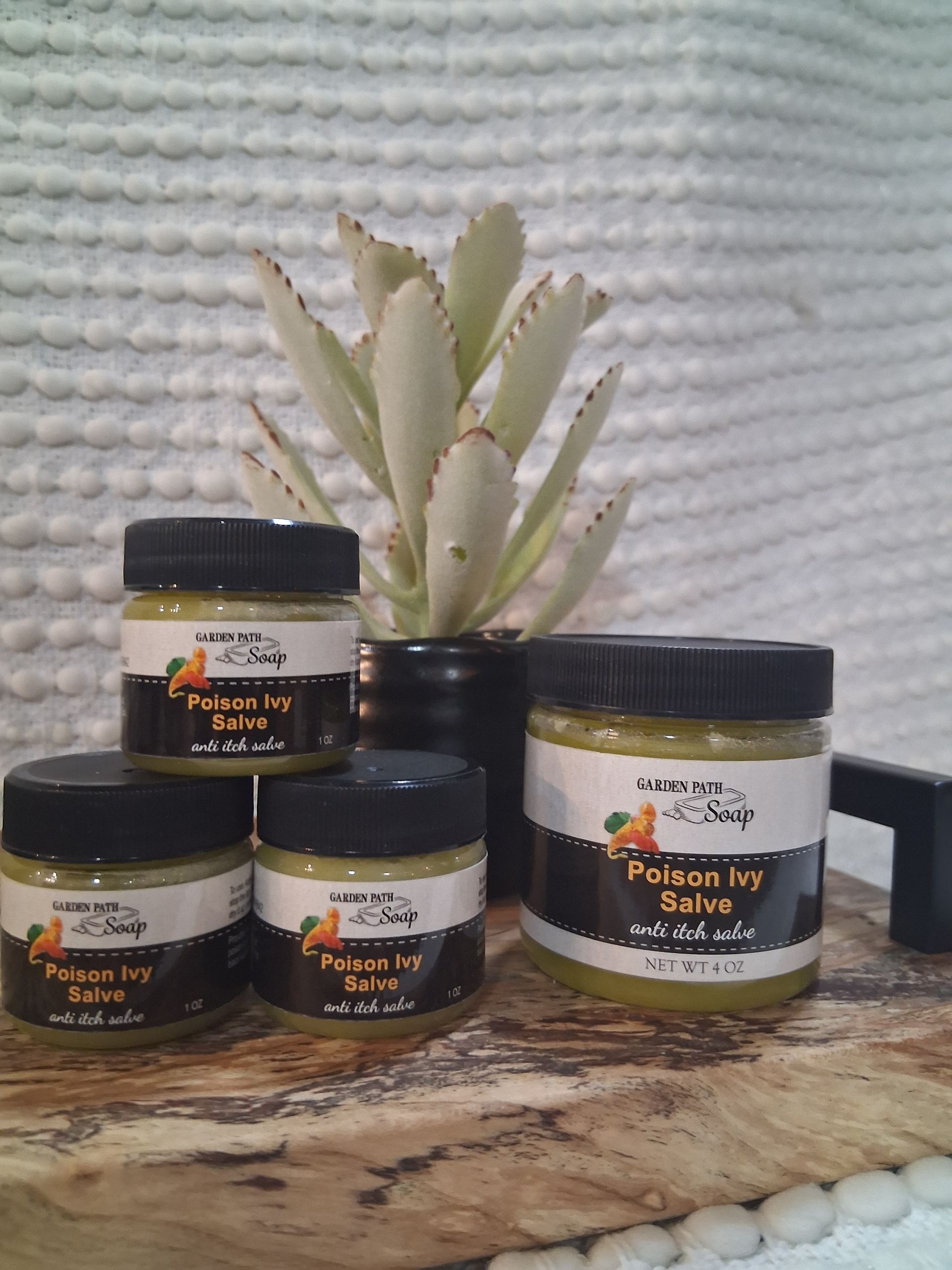 Five jars of Poison Ivy Salve, with a succulent in the background on a wooden surface.