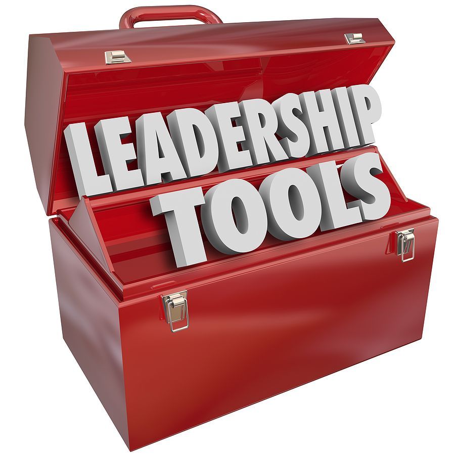 interim management