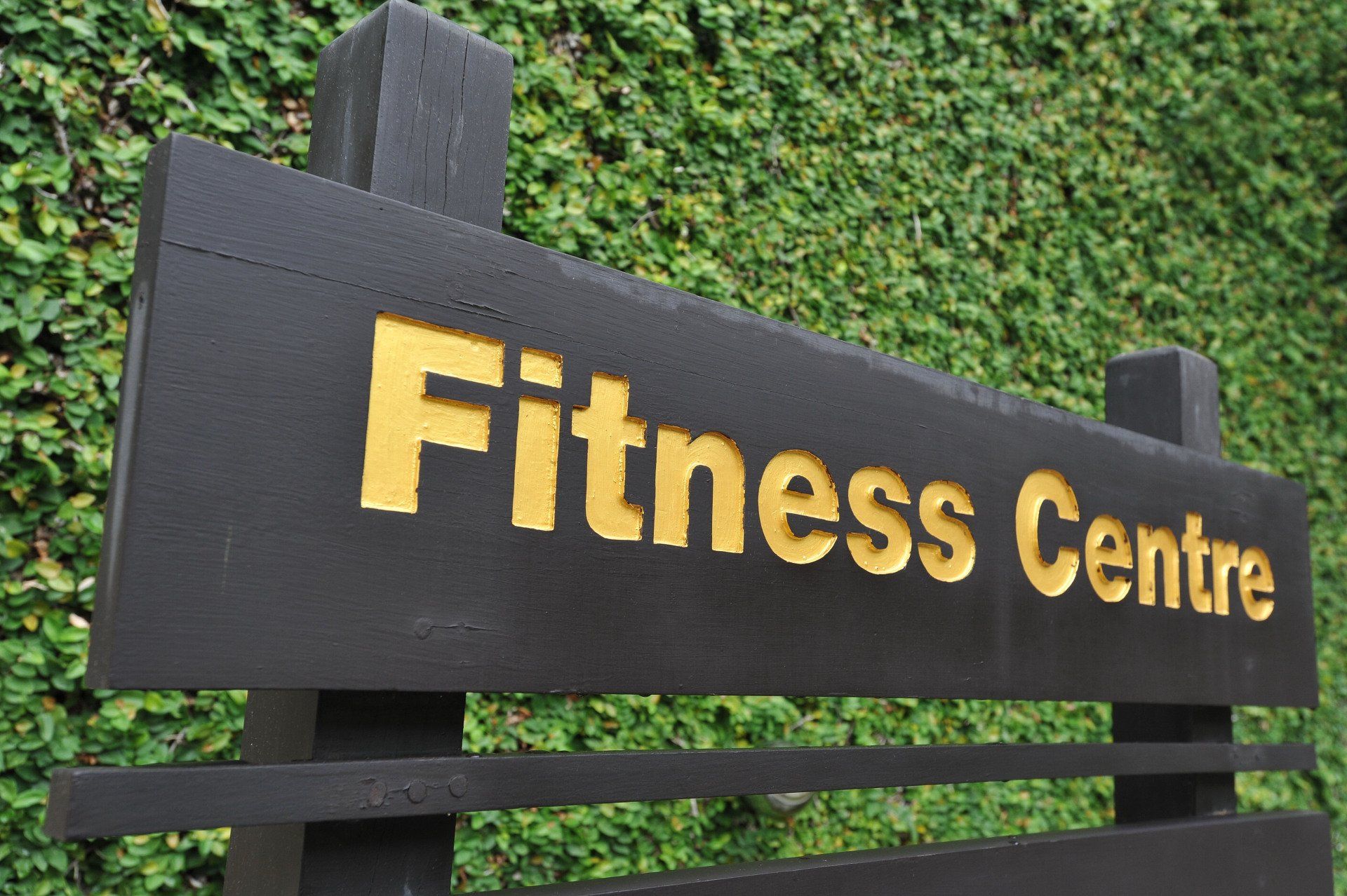 Fitness Centre sign in yellow letters on a dark wooden board against a green hedge wall