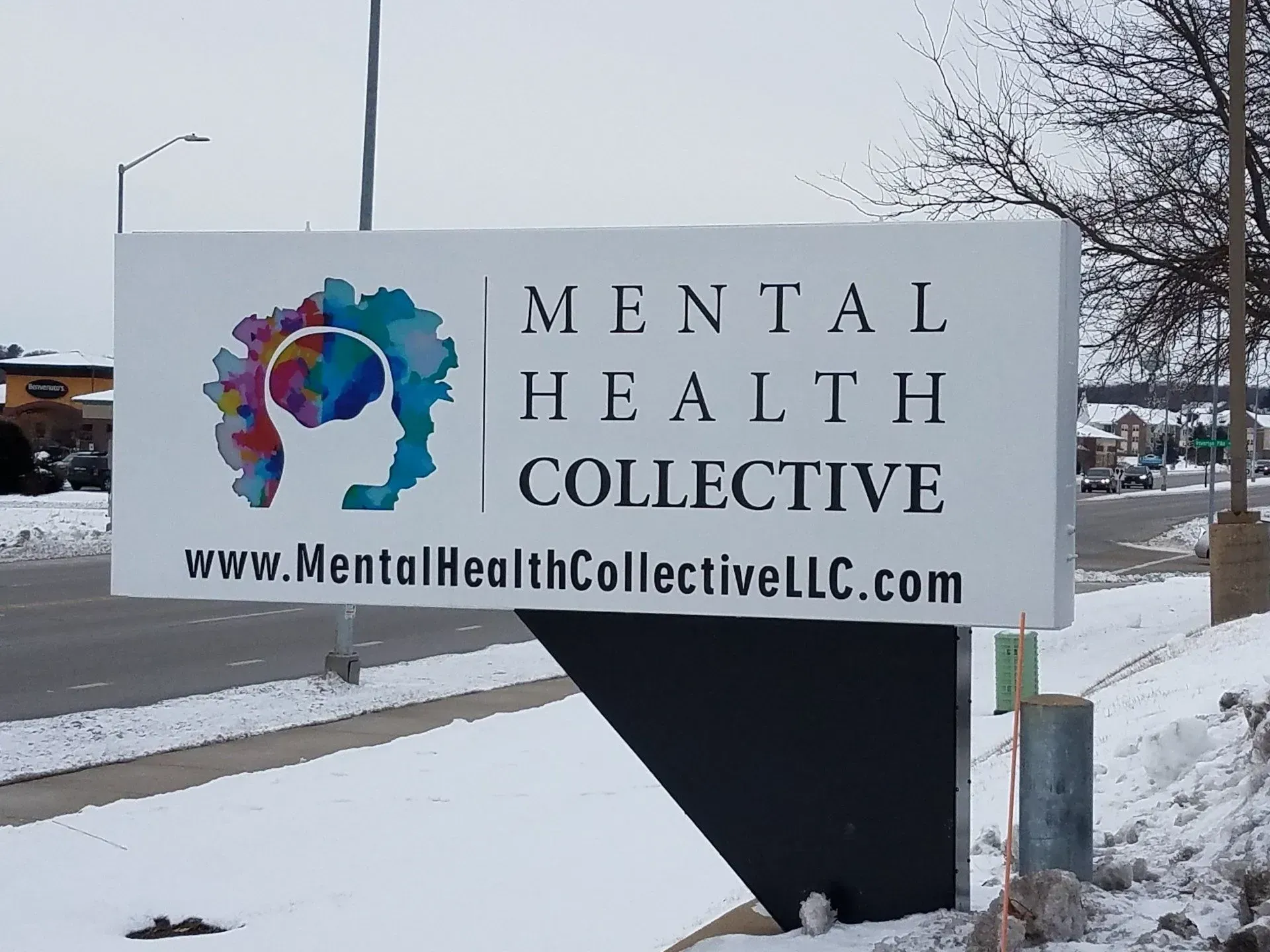 Mental Health Collective sign with colorful logo in snowy roadside setting