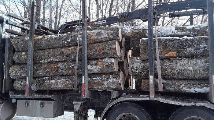 Truck Spade — Cold Brook, NY — Scott Lawson Excavation & Logging