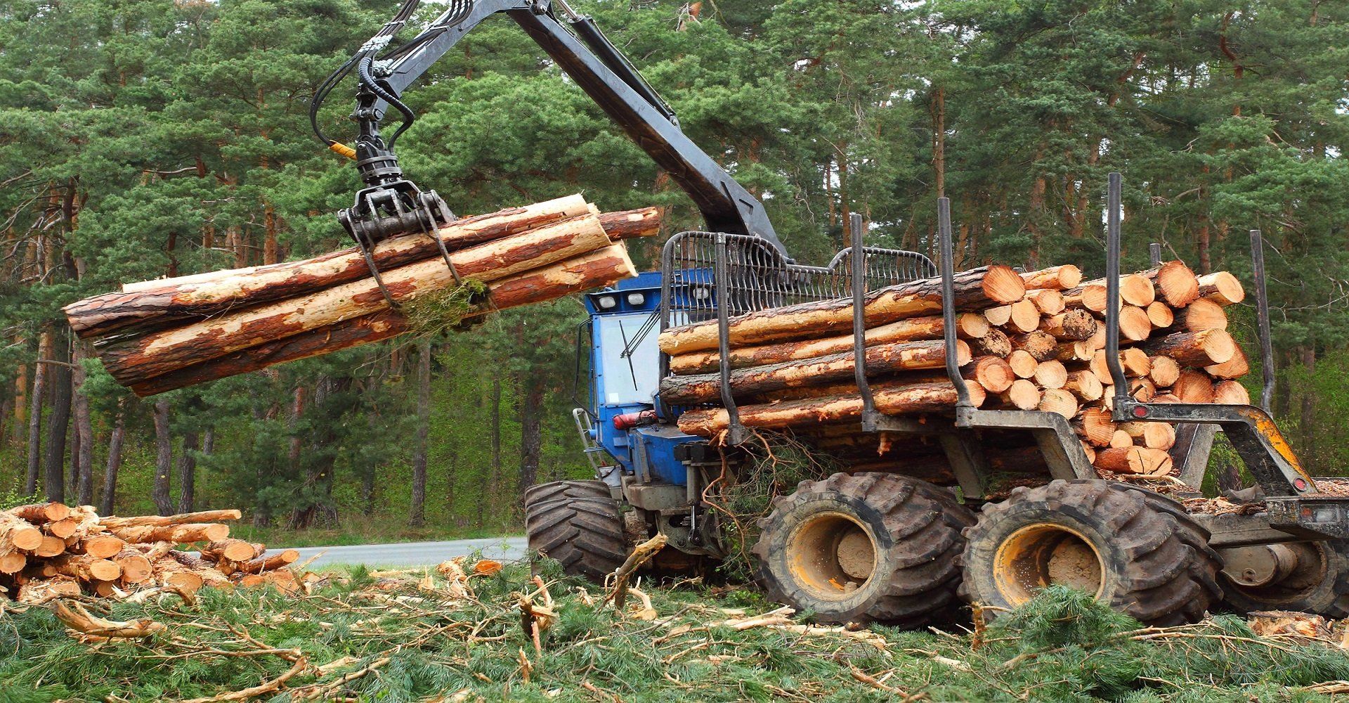 Loading Logs — Cold Brook, NY — Scott Lawson Excavation & Logging Loading Logs — Cold Brook, NY — Scott Lawson Excavation & Logging