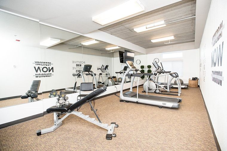bench press and treadmill in gym