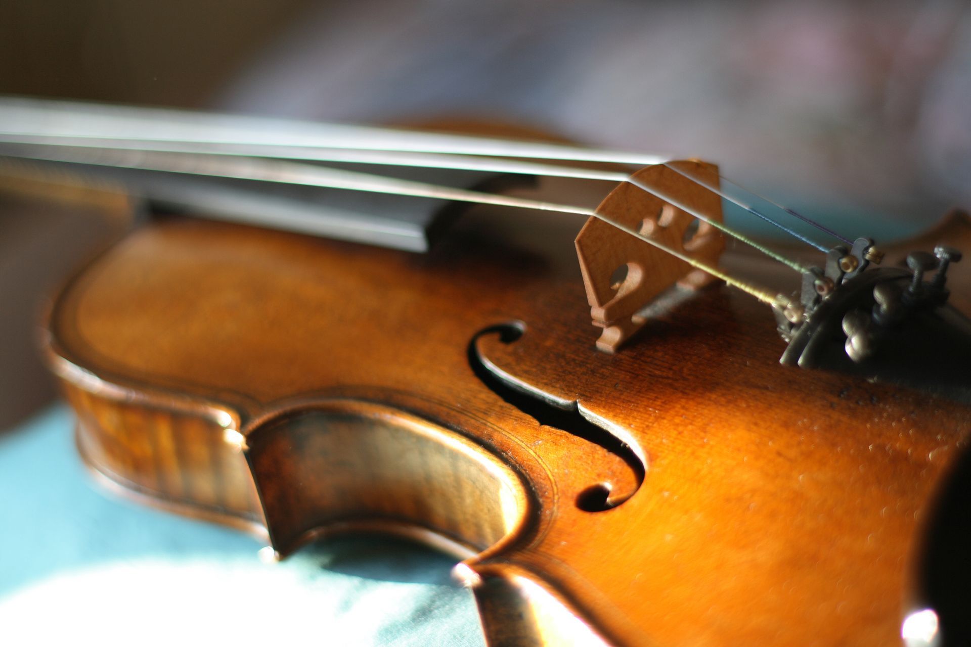 Violini