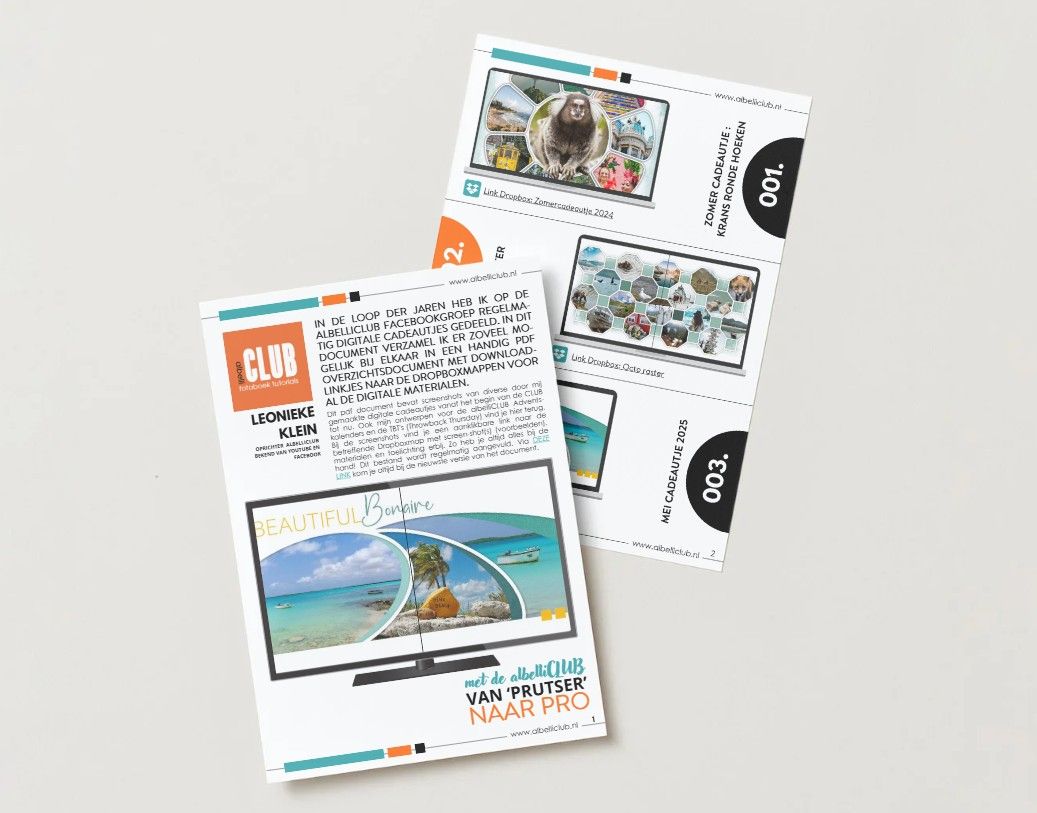 PDF Overzicht Digitale Cadeautjes
