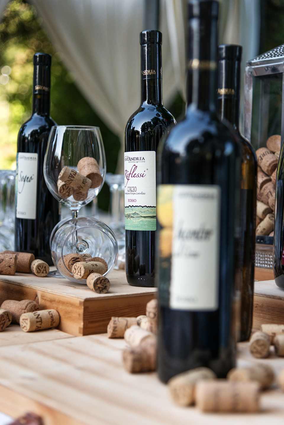 bottiglie di vino