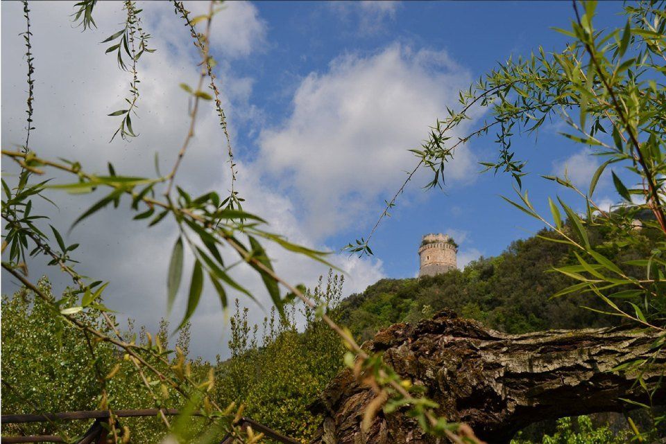 panorama location
