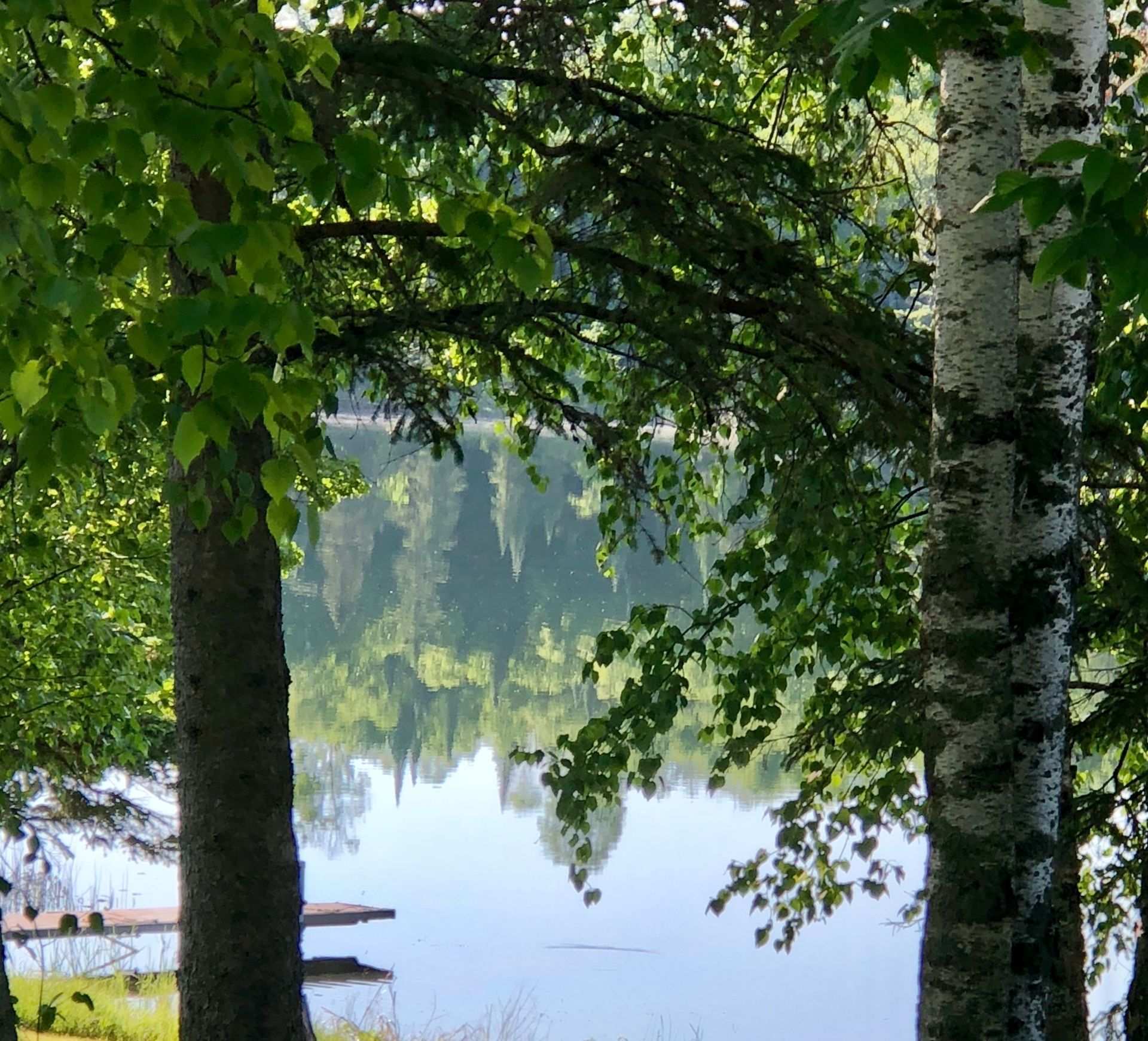lake in summer