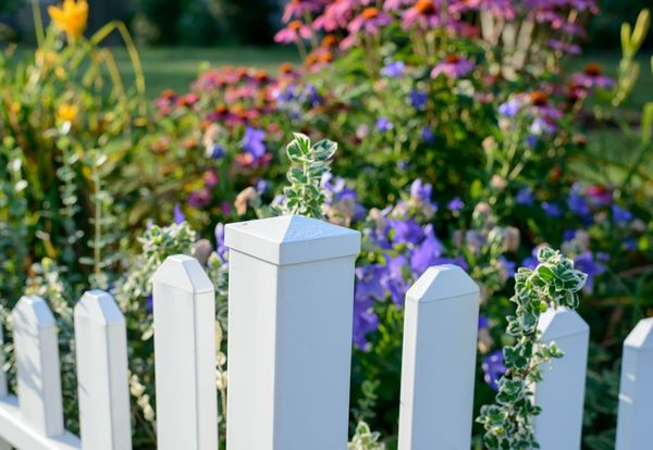 White picket fence with small flowers in front of a colorful garden bloom