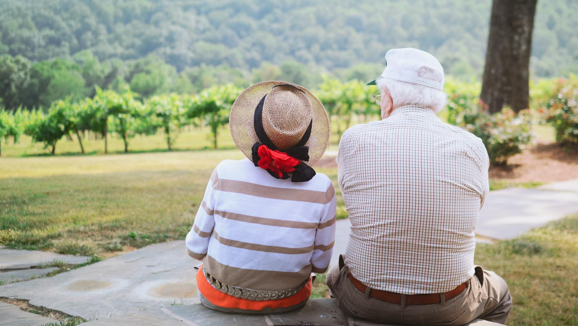 A man and a woman are sitting on a sidewalk looking at a vineyard.