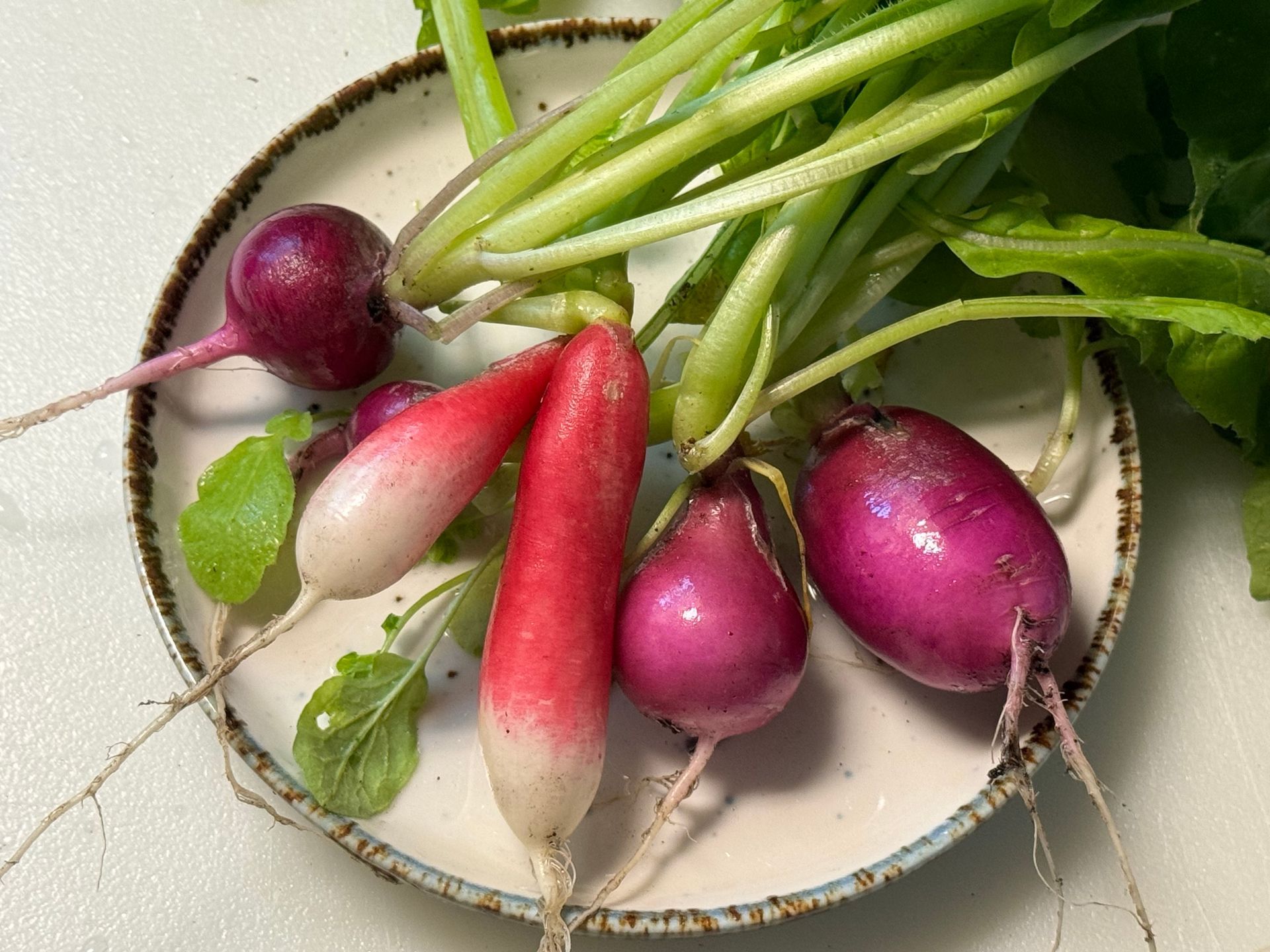 A white plate topped with purple radishes and green leaves