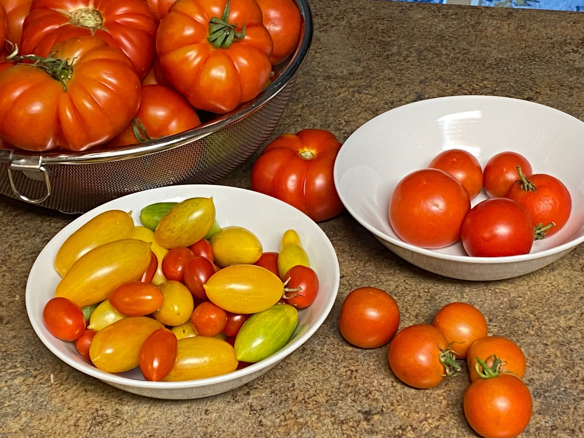 Three bowls of tomatoes are on a counter next to a bowl of tomatoes