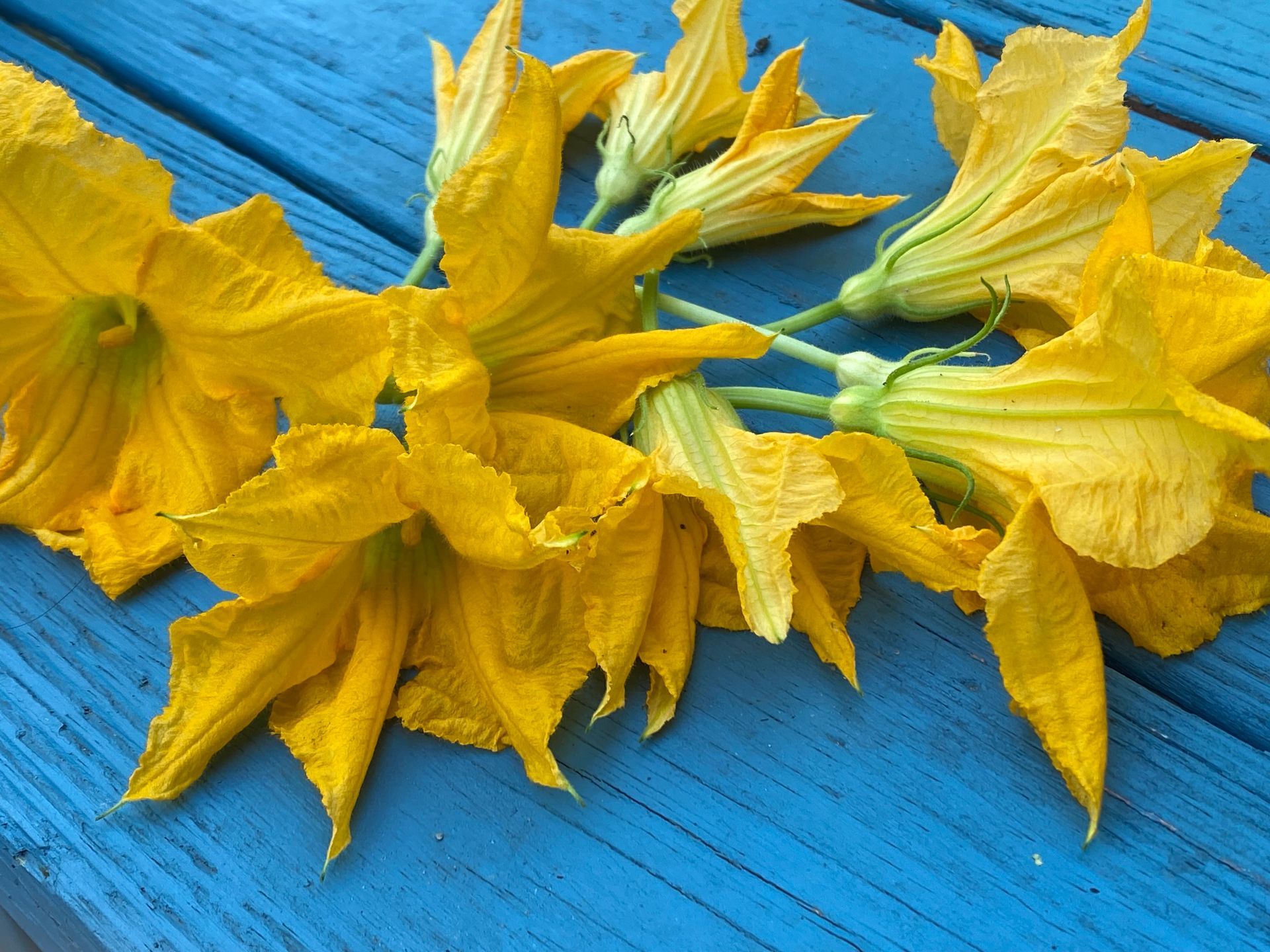 A bunch of yellow flowers on a blue wooden table