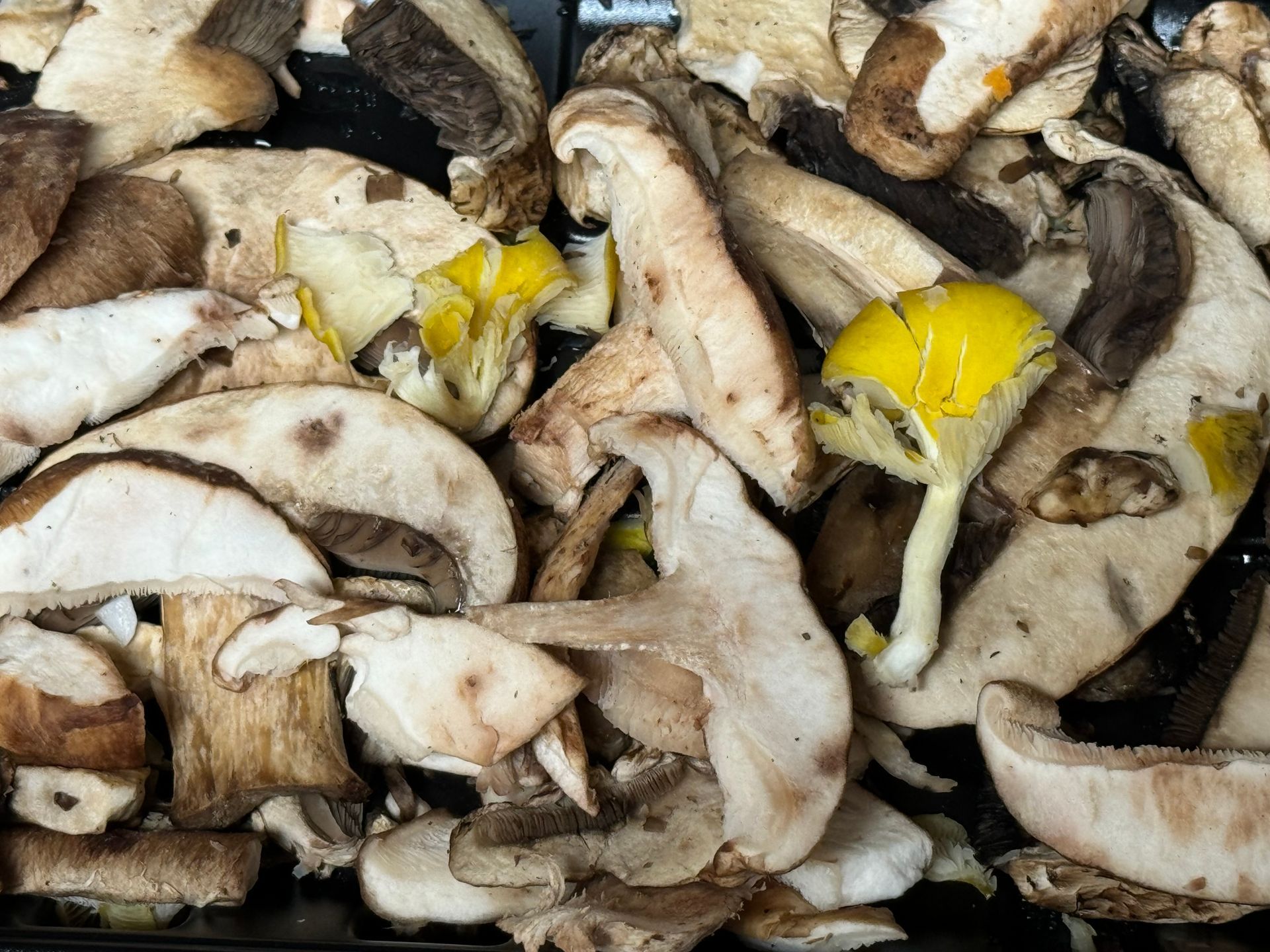 A close up of a pile of mushrooms on a table