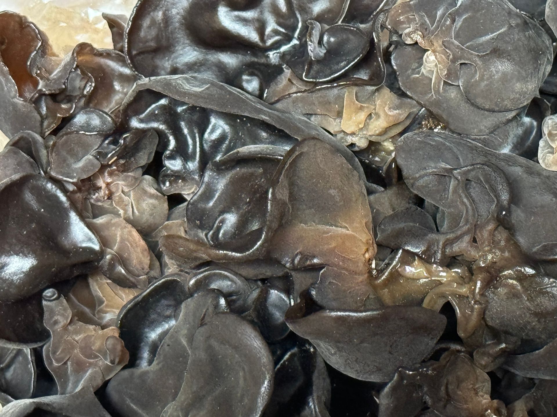 A close up of a pile of black mushrooms