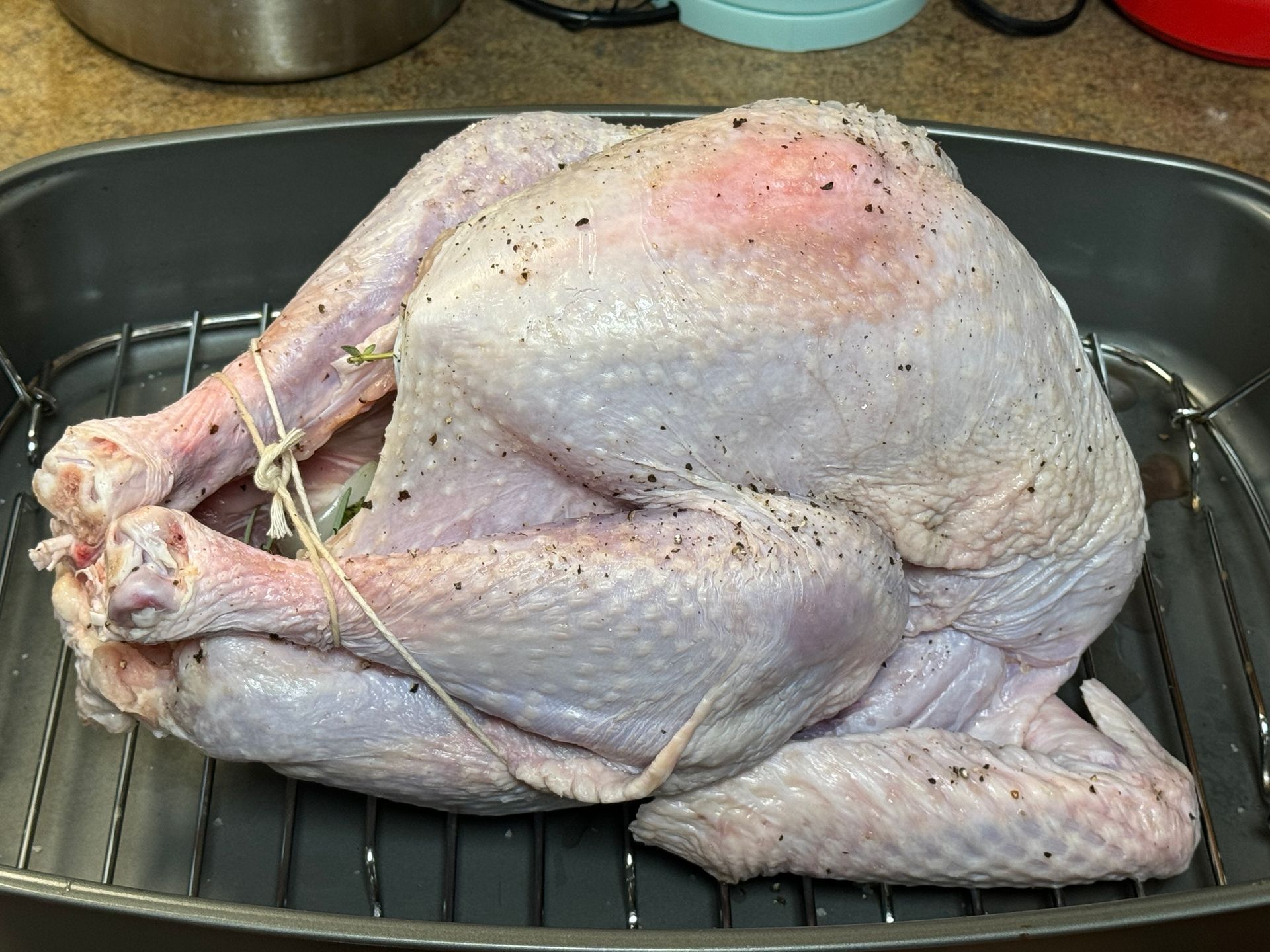 A turkey is sitting on a wire rack in a pan.