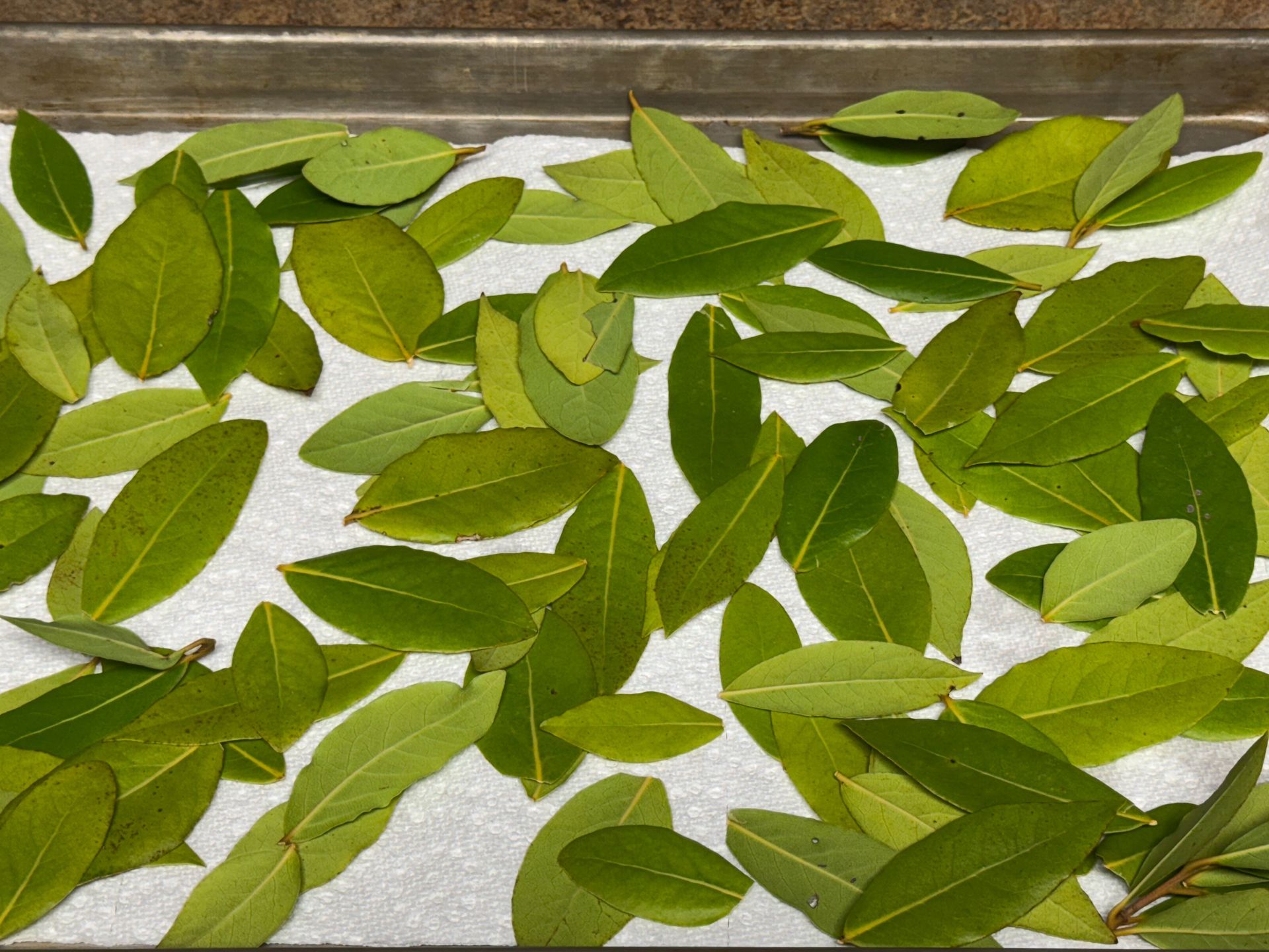 A bunch of green leaves on a white towel