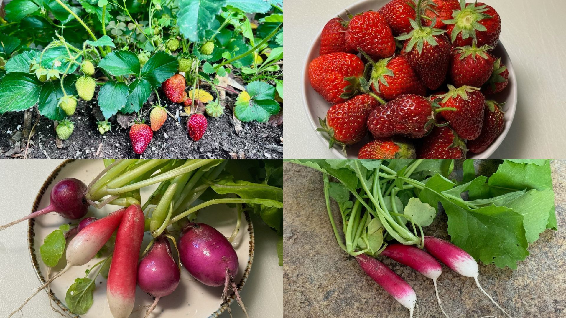 Sustainable sourcing for restaurants