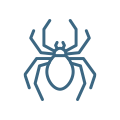 Spiders Spiders