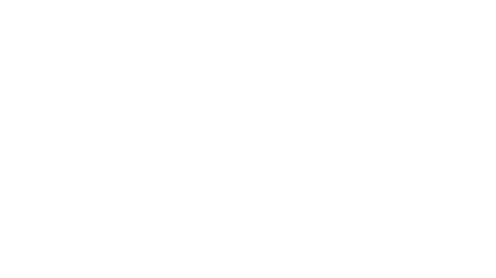 NAPA Auto Parts Logo