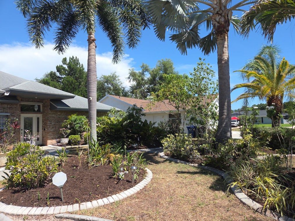 Tropical garden with palm trees, shrubs, and a house under a bright blue sky