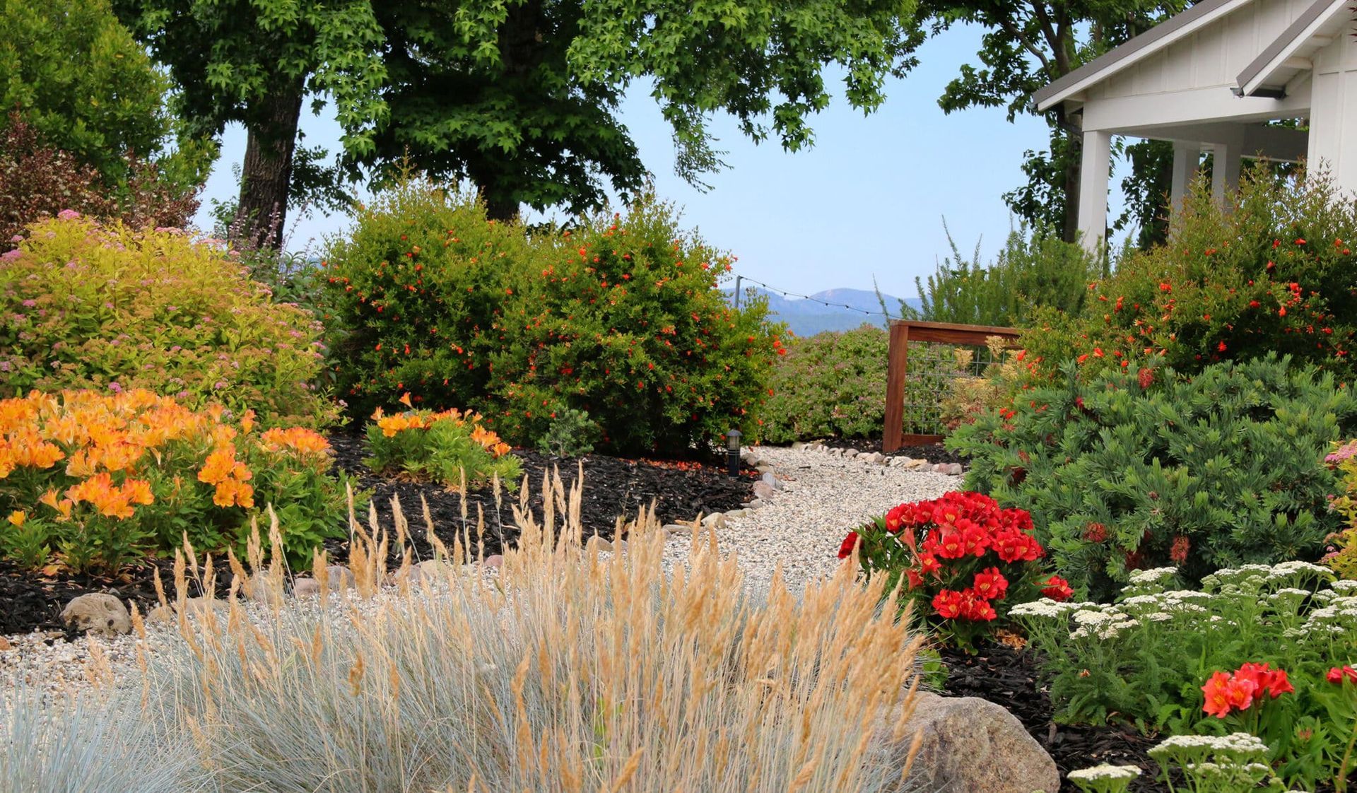 A garden with flowers and bushes in front of a house