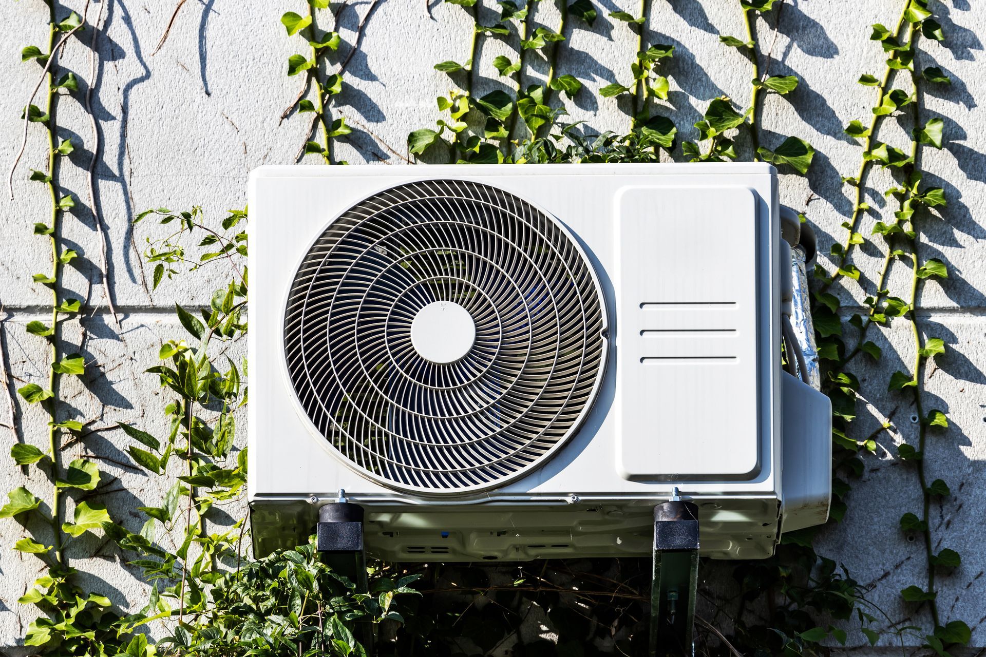 White air conditioning unit on a textured wall with ivy.