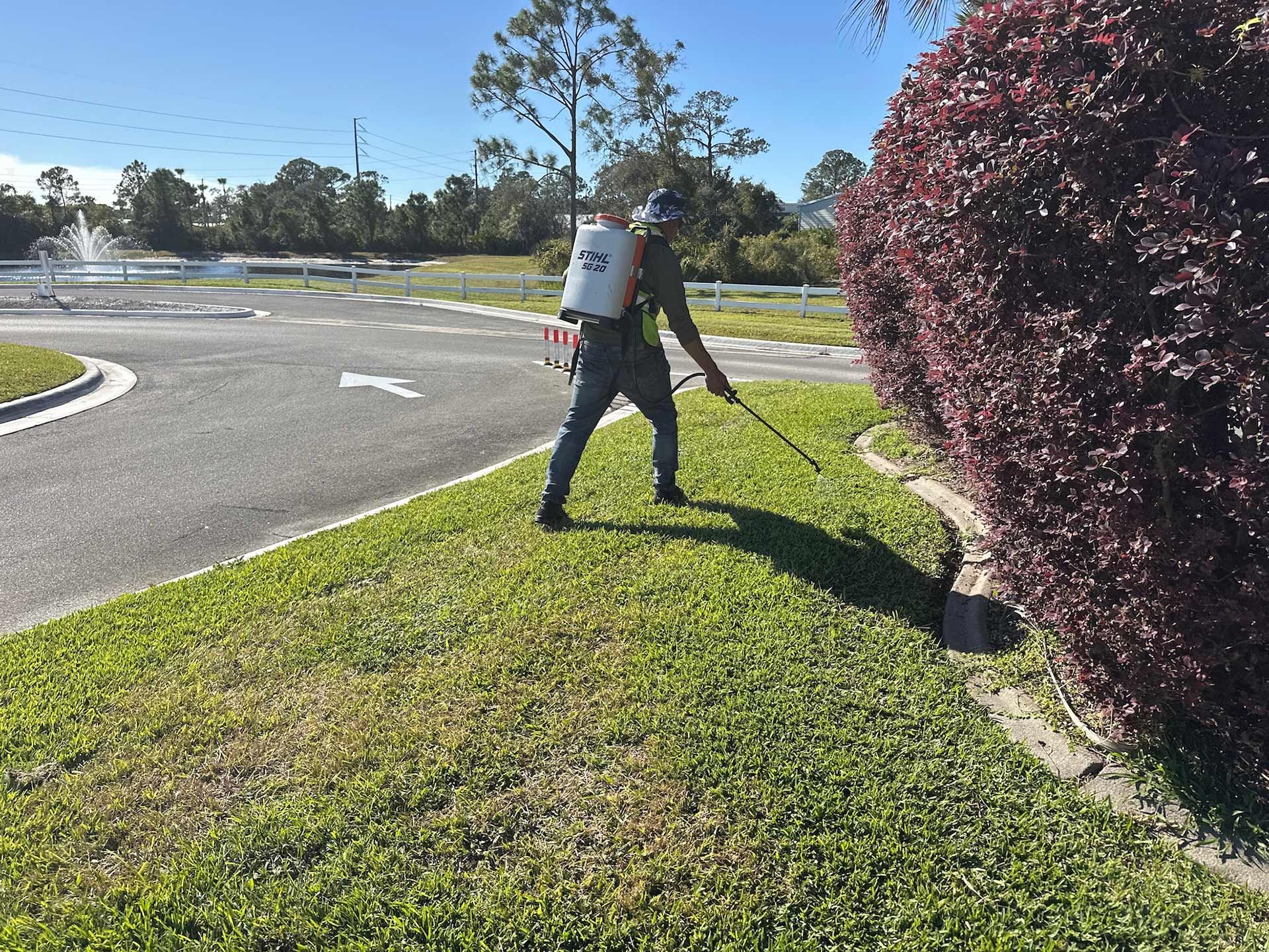 A man is spraying a lawn with a backpack sprayer.