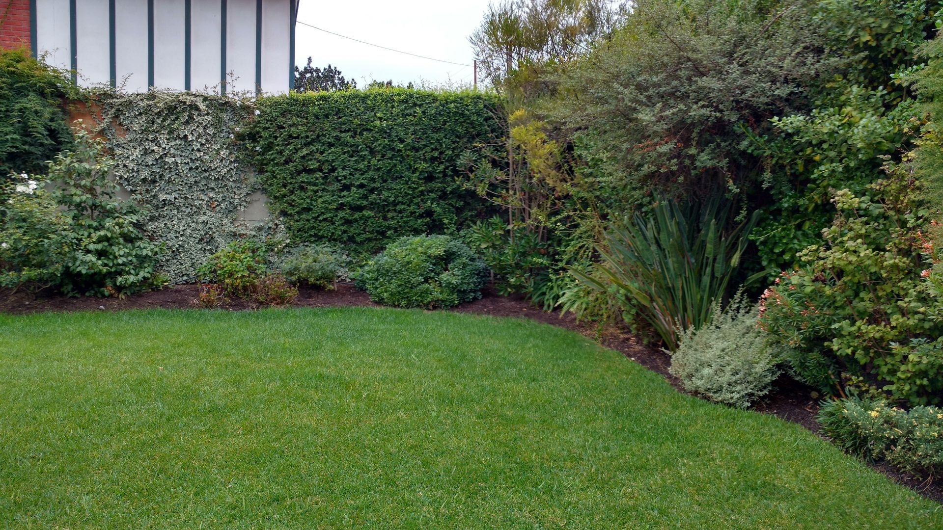 Jardín Con con