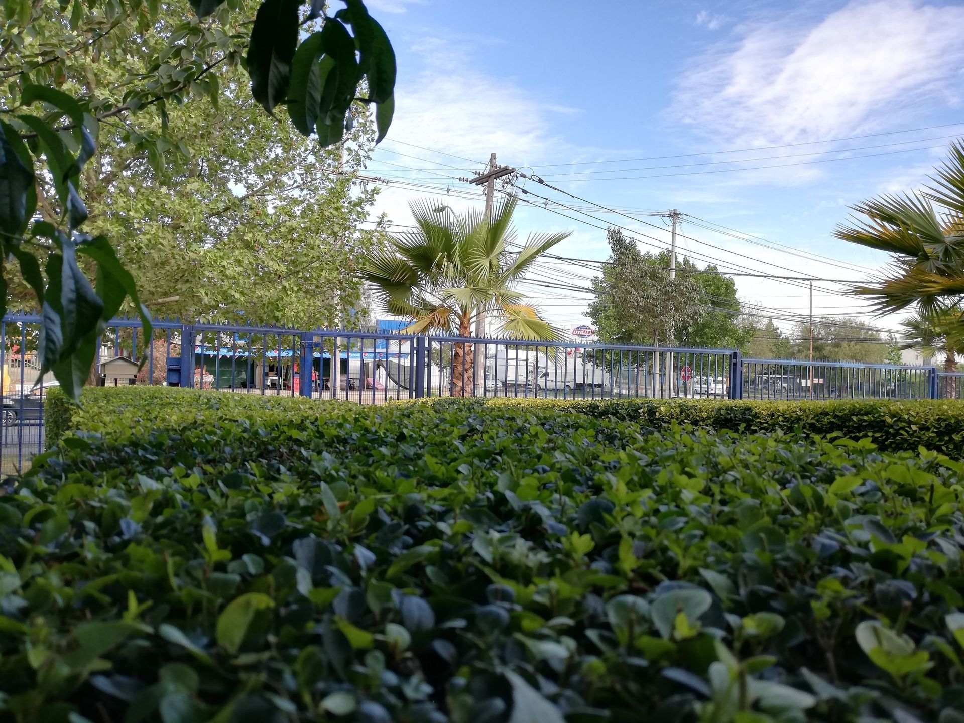 Mantención Seto