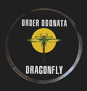 Dragonfly Records
