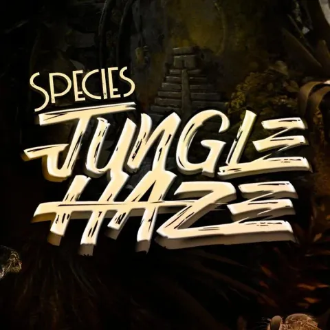 Jungle Haze