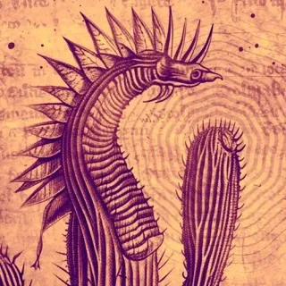 Pachanoids