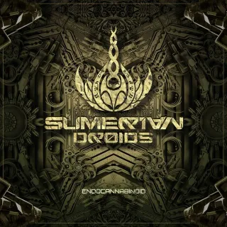 Sumerian Droids