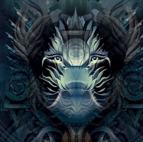 Elementorum Naturae 2019 Edicao Agua