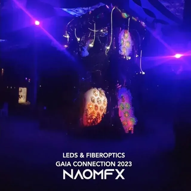 Naom.fx: foto 3