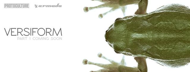 Protoculture: foto 2