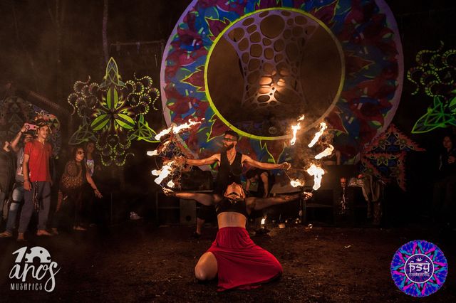 IGNIS TRIBE: foto 2